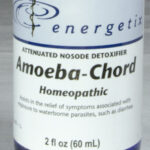 Energetix amoeba-chord