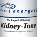 Energetix Kidney Tone